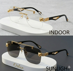 Panther Edition Photochromic Glasses - Gold & Black(open Allowed)