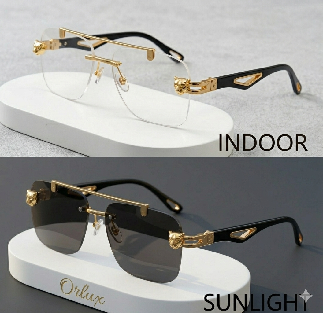Panther Edition Photochromic Glasses - Gold & Black(open Allowed)