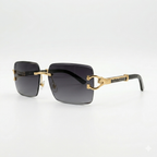 2-in-1 Luxury Panther Collection – Exclusive Sunglasses Combo Deal